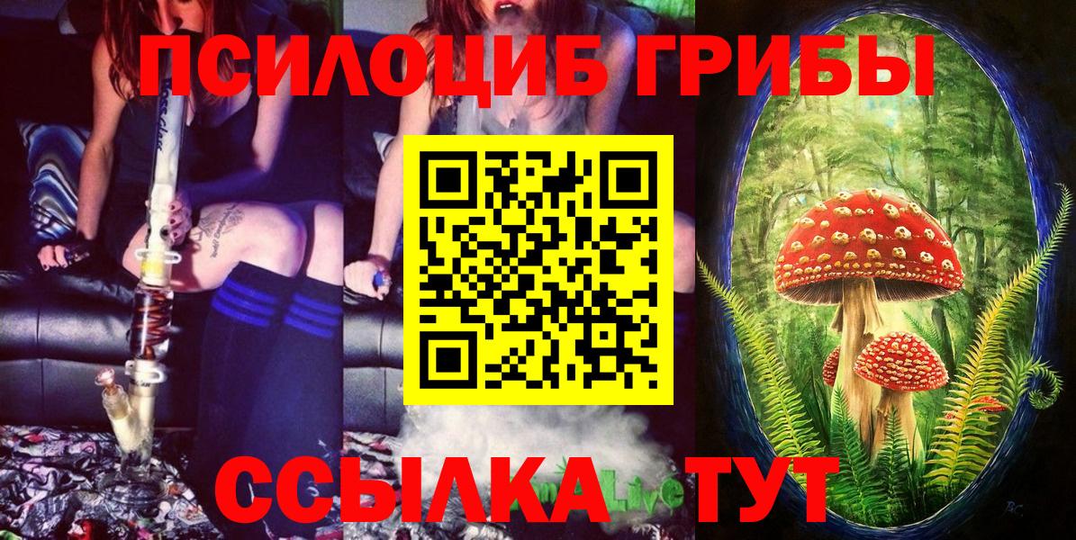 Галлюциногенные грибы Psilocybe Качканар