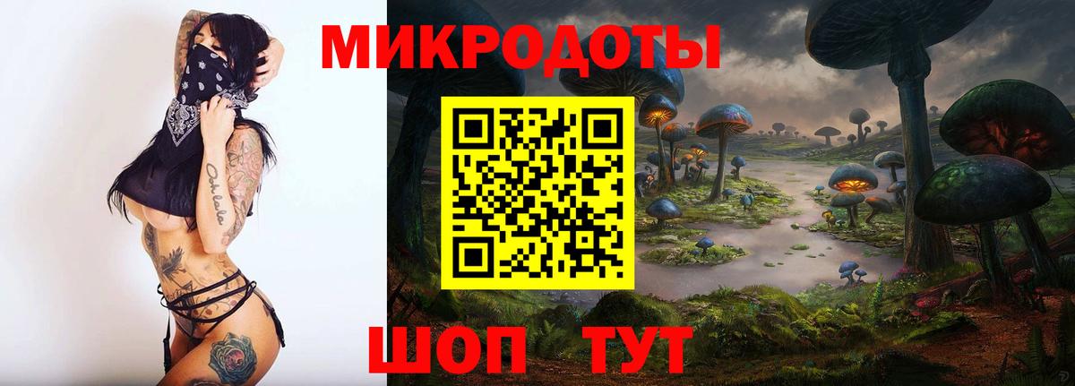 Качканар  Псилоцибиновые грибы Psilocybine cubensis  Вход с VPN 